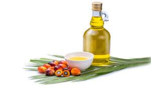 Agro Commodities