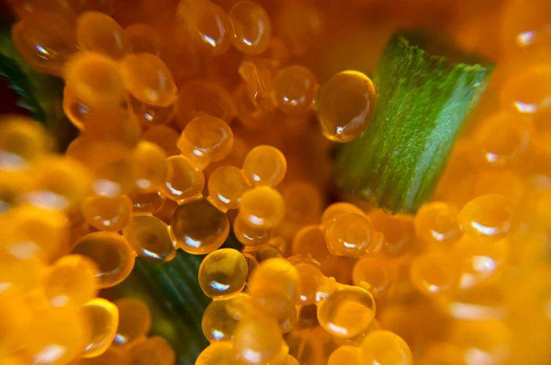 Surfactants
