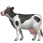 Animal Feed